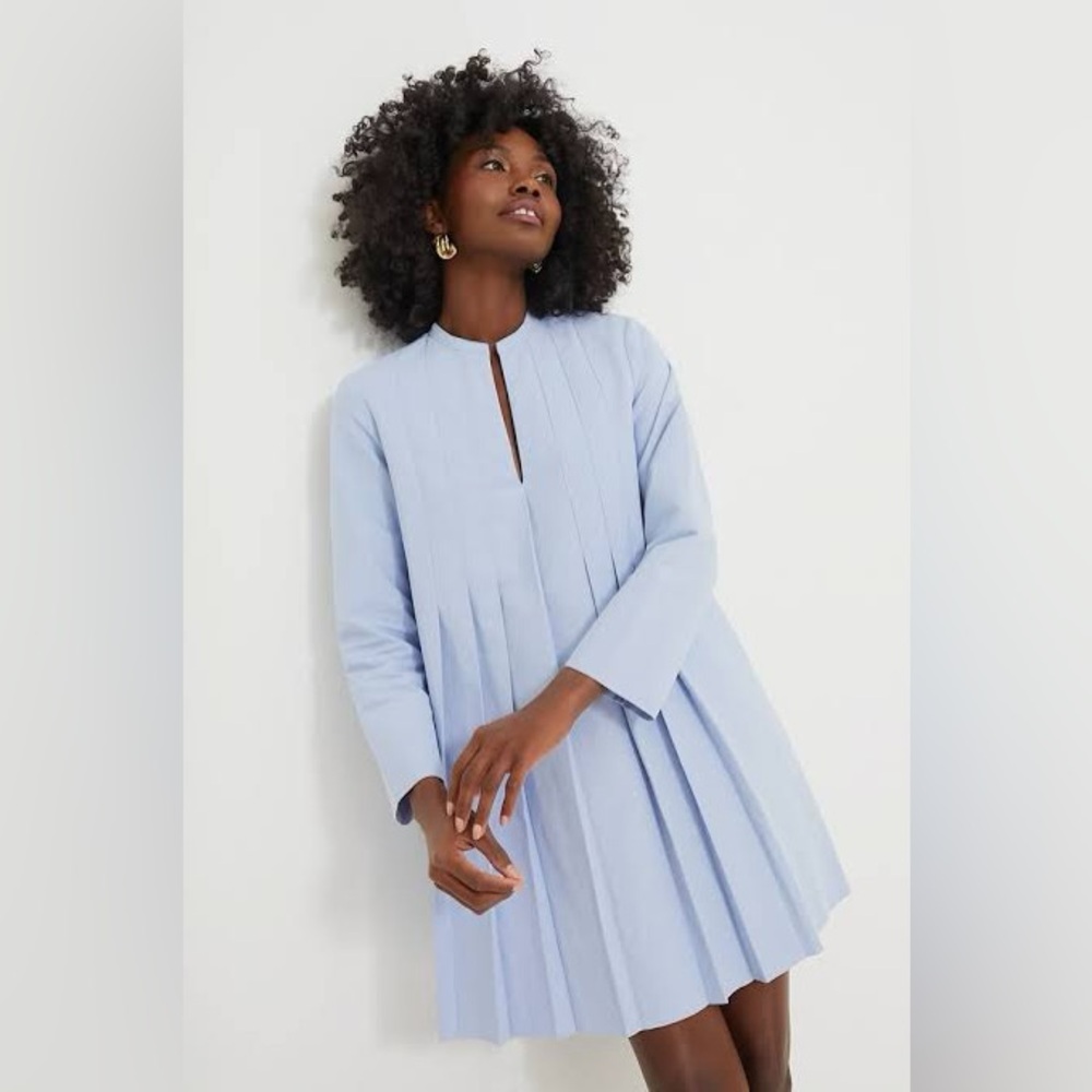 Tuckernuck blue shirt dress with pockets
